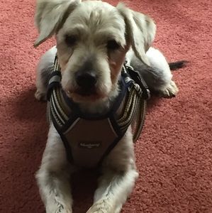 Meet your Posher, Kacey